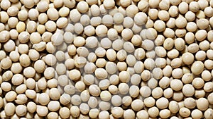 Close-up soybeans. dry soy seeds abstract background. slider motion