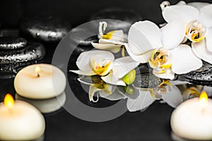 Close up of spa setting of white orchid phalaenopsis, candles and black zen stones with drops on water with reflection