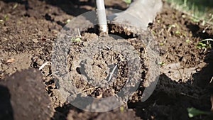 Close up of spade turning dirt in the garden slow