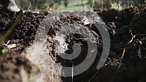 Close up of spade working with dirt in the garden