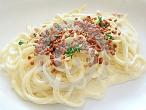 Close-up spaghetti carbonara on white dish.