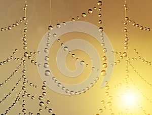 Close up of spider web with dew drops