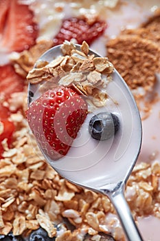 Close-up of spoon with fresh natural homemade morning breakfast with strawberries, milk dessert, oat cereal, blueberries