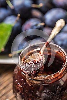 Close-up spoon from plum jam and fresh plums in the background