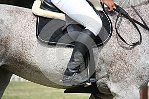 Close up of sportsman sitting on the horse