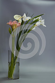 Close-up spring bouquet of iris, hippeastrum and calla lilies in a glass vase on a light gray background, selective focus