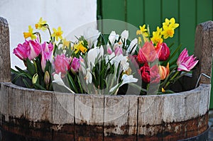 Close-up of spring flowers in old wooden bucket