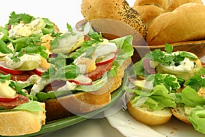 Close up at spring time sandwiches