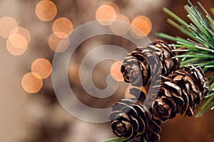 Close up. Spruce branch with small fir cones. Blurry lights of garland on the background.