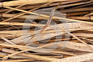 Close-up of a stack of dry reed stalks