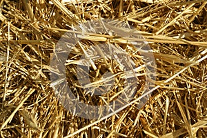 Close up of a Stack of Hay