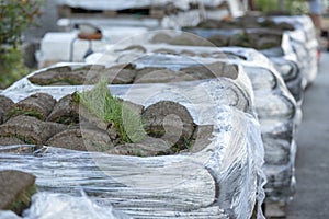 Close up of stack of sod turf grass rolls, ready for laying in new lawn. Natural grass installation