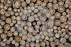 close-up of stacked brown pine logs with different diameters