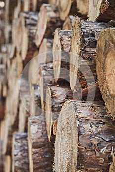 close-up of stacked pine logs with bark shallow depth of field