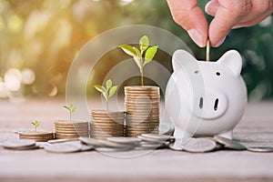 Close up of stacking gold dollars coins with Hand putting coin on PiggyBank ,Business Finance and Money concept,Save money for