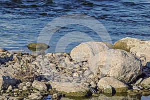 Close up of stacks of rocks on the river bank near dark blue wavy water stream on sunny day