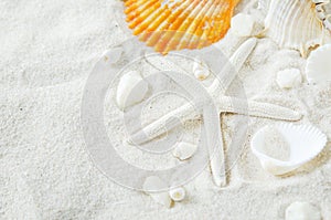 Close up of starfish and seashells on white sand background