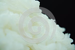 close up steamed cooked white rice