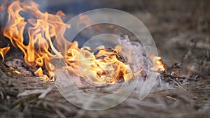 Close-up of a steaming burning dry grass. Fire.
