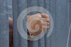 Close up of steel cage of jail and hand of prisoner