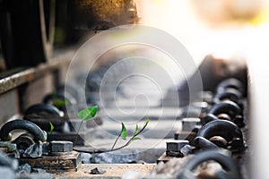 Close up Steel railroad fasteners.Iron nuts fastened to railway tracks.soft focus.Green morning glory in the train tracks