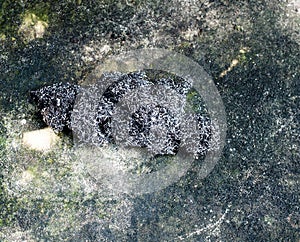 A close up of steel wool dishwashing on concrete floor background