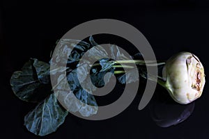 Close up of stem turnip on black reflecting background