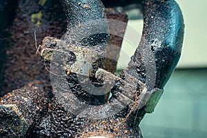 Close-up stepless clamping clamps fasten the hoses in the walk-behind tractor engine. Dirty oil stains with mud sticking to the