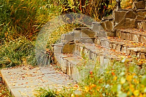 Close-up steps of stairs up from antique stone in autumn season. The symbol of upsurge and success. Recreation. Parks. Autumn