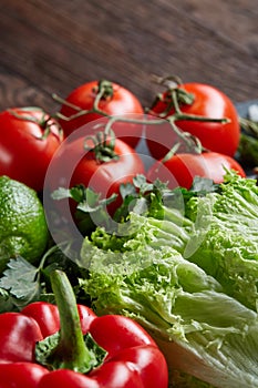 Close-up still life of assorted fresh vegetables and herbs on wooden rustic background, top view, selective focus.