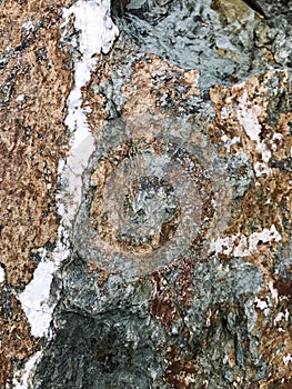 Close up stone background. textured