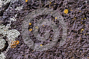 Close-up of stone covered by lichen