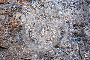 Close-up of stone covered by lichen