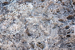 Close-up of stone covered by lichen