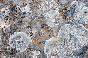 Close-up of stone covered by lichen