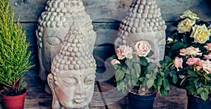 Close up stone few buddha head statues among flowers in the pots on the wooden background. Exterior, park, outdoor Garden decor