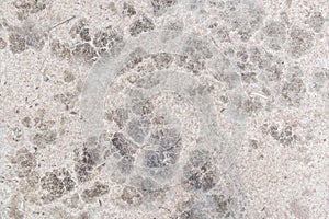 Close up stone floor texture background with copy space.