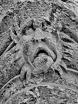 A close up of a stone Grotesque carved face