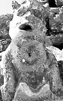 A close up of stone Grotesque carved face gargoyle