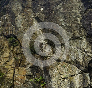 Close-up of a stone texture