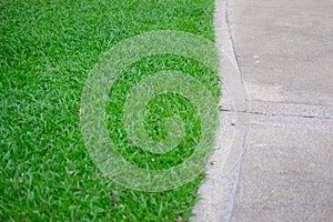 Close up stone walkway and grass