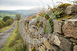Stone wall texture in close-up photo