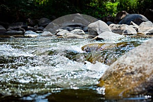 Close-up of stone with water rapids on the river