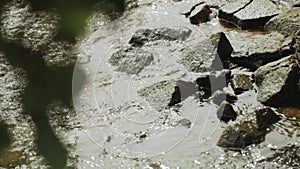 Close-up of a stony beach at evening, small waves of the river, slow motion shot.