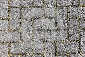 Close up of a stony way