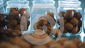 close-up, stored in glass jars are seeds, walnuts, various species grown on breeding, hybrids of nuts, of the best