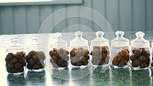 close-up, stored in glass jars are seeds, walnuts, various species grown on breeding, hybrids of nuts. nuts of the best