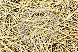 Close up of straw background