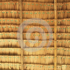 Straw background. Texture of thatch roof