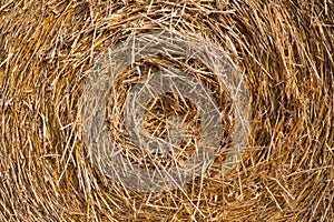 Close up of straw bale
